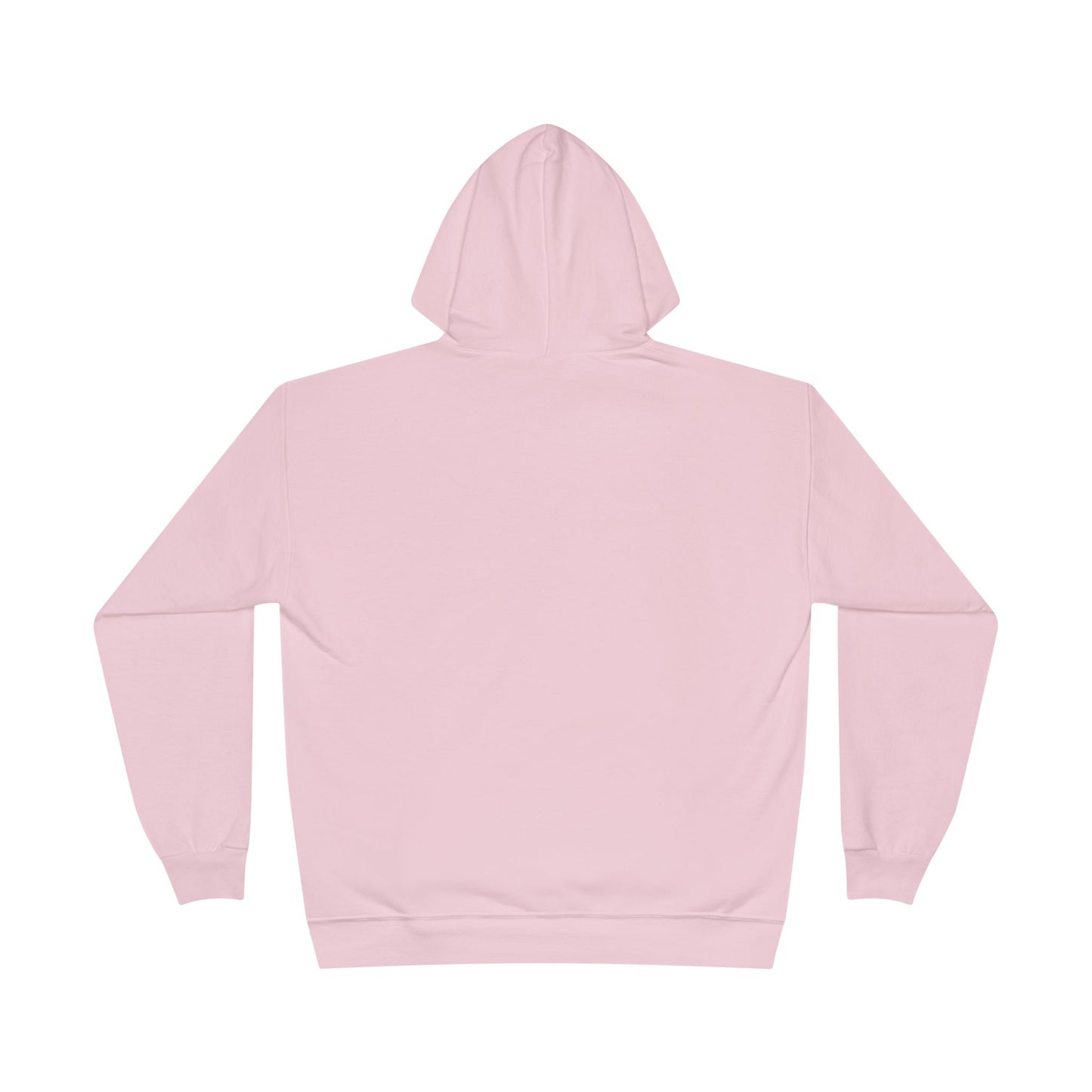 Custom Personalizable Hanes P170 EcoSmart Pullover Hoodie Sweatshirt Unisex Recycled Fleece Hoodie Sustainable Custom Hoodie with Logo or Name