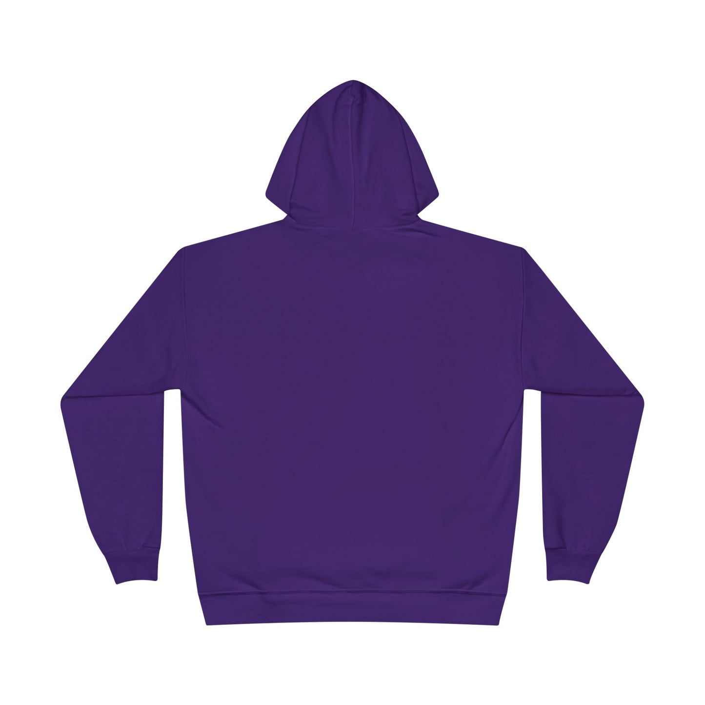 Custom Personalizable Hanes P170 EcoSmart Pullover Hoodie Sweatshirt Unisex Recycled Fleece Hoodie Sustainable Custom Hoodie with Logo or Name