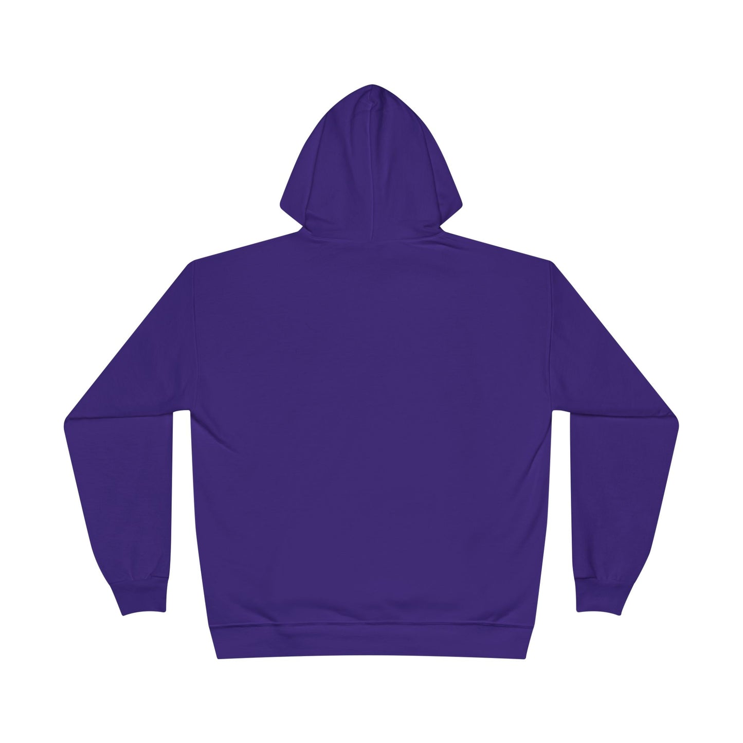 Custom Personalizable Hanes P170 EcoSmart Pullover Hoodie Sweatshirt Unisex Recycled Fleece Hoodie Sustainable Custom Hoodie with Logo or Name