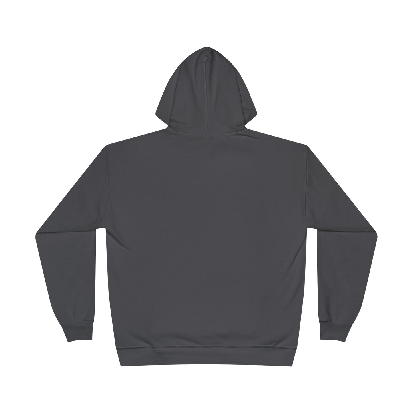 Custom Personalizable Hanes P170 EcoSmart Pullover Hoodie Sweatshirt Unisex Recycled Fleece Hoodie Sustainable Custom Hoodie with Logo or Name
