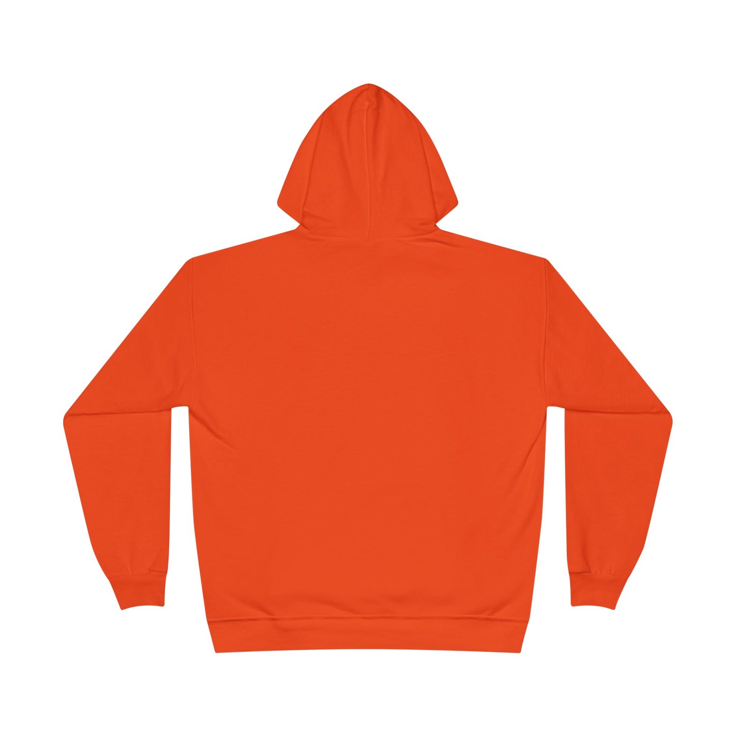 Custom Personalizable Hanes P170 EcoSmart Pullover Hoodie Sweatshirt Unisex Recycled Fleece Hoodie Sustainable Custom Hoodie with Logo or Name