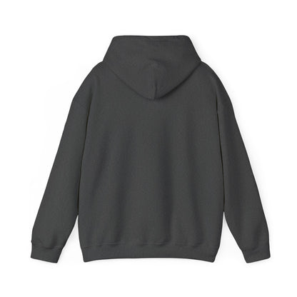 Custom Personalizable Gildan 18500 Heavy Blend Hooded Sweatshirt Unisex Custom Hoodie Soft Fleece Pullover with Your Design, Logo, or Name
